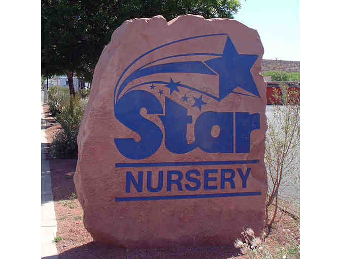 Star Nursery: Gardening Consultation and Gift Bag
