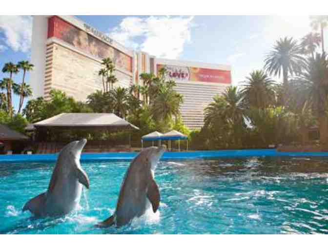 The Mirage Hotel & Casino: Painting with Dolphins for Two