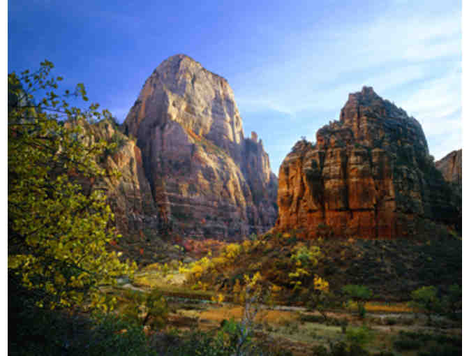 LaFave Gallery: Zion National Park Inspired Art Collection