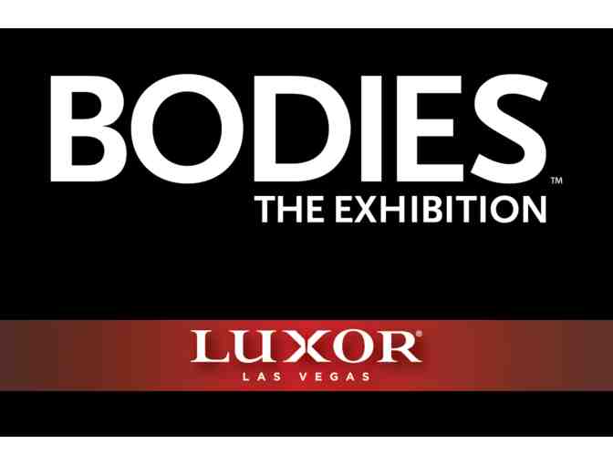 Bodies The Exhibition: Family 4-Pack with Gift Basket