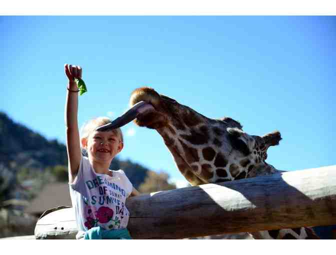Cheyenne Mountain Zoo: Family Four Pack of Zoo Admission Tickets