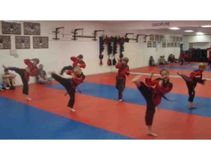 Allen Sarac's Professional Karate Centers: 6 Weeks of Classes