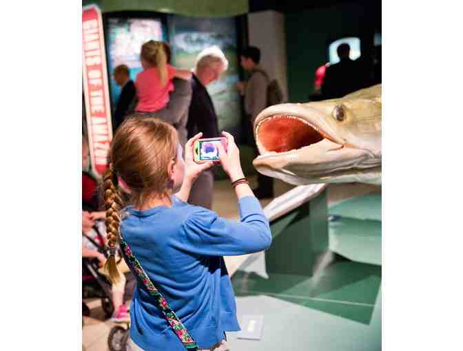Terry Lee Wells Nevada Discovery Museum: 2 Daily Passes