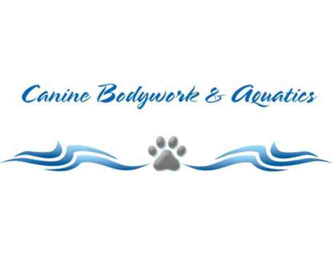 Canine Bodyworks and Aquatics: $75 Gift Certificate For Any Aquatic Service. Large T-shirt