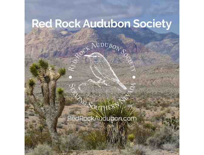 Red Rock Audubon Society Inc: Half Day Southern Nevada Birding Tour