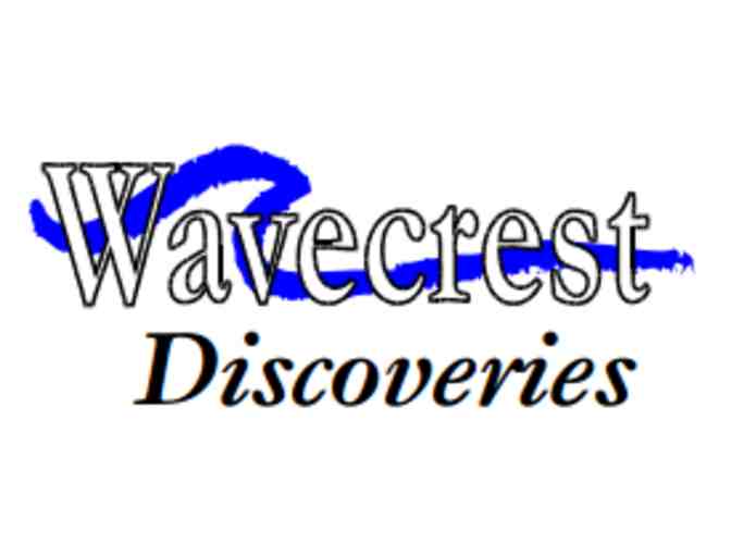 Wavecrest Discoveries: Guided Nature Excursion along the Oregon Coast