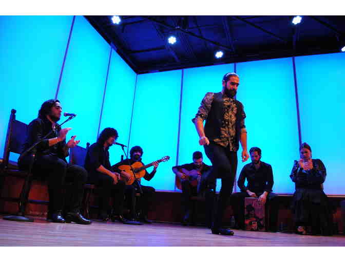 National Institute of Flamenco and Conservatory of Flamenco Arts: Flamenco Experience