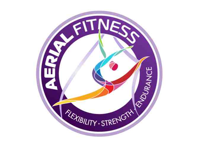Aerial Fitness: Aerial Fitness Class for Two and Gift Bag