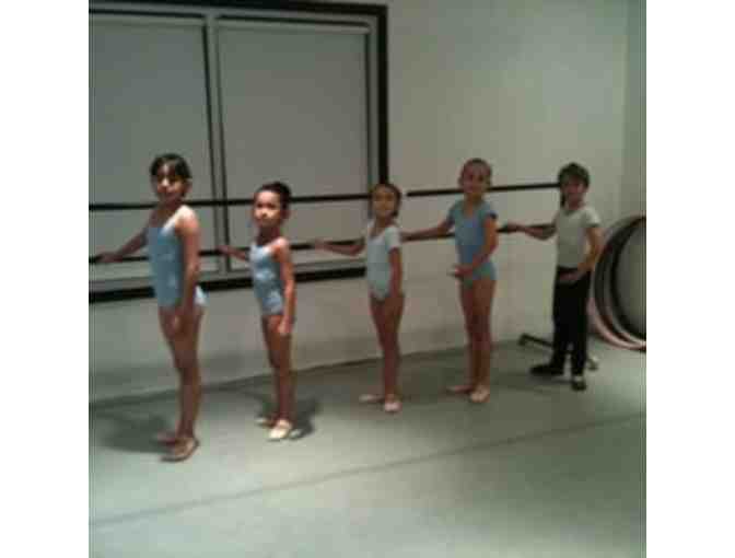 Las Vegas Ballet School: One Hour Of Private Instruction In Ballet