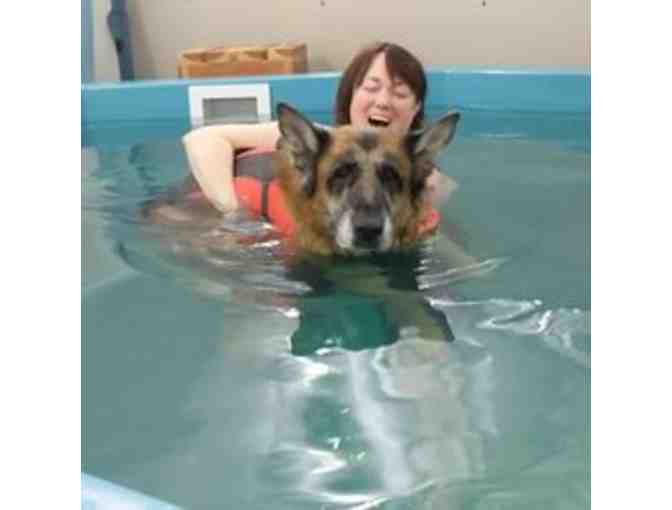 Canine Bodyworks and Aquatics: $75 Gift Certificate For Any Aquatic Service. Large T-shirt