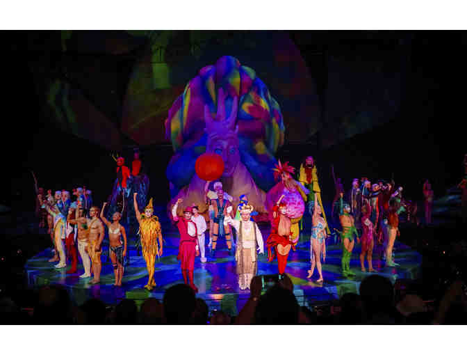 Mystere: Golden Circle Package for Two