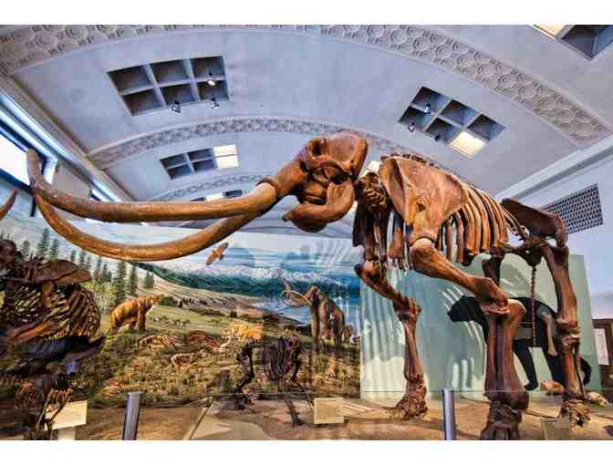 Natural History Museum of Utah: 4 Passes to The Natural History Museum of Utah