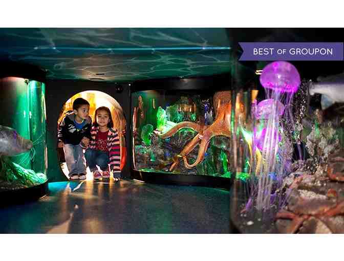 Hands On Children's Museum: Free Family Admission Pass - Photo 2