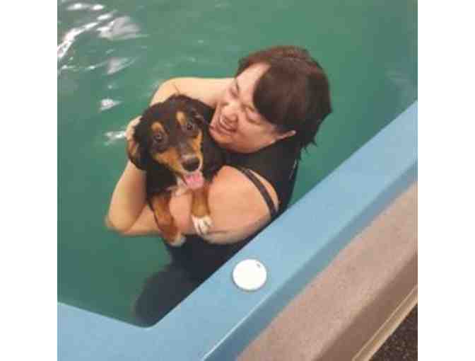 Canine Bodyworks and Aquatics: $75 Gift Certificate For Any Aquatic Service. - Photo 2