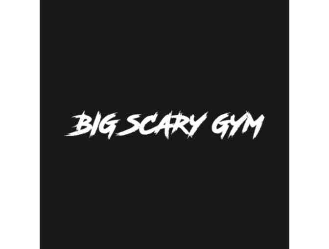 Big Scary Gym: One Month Unlimited Boxing
