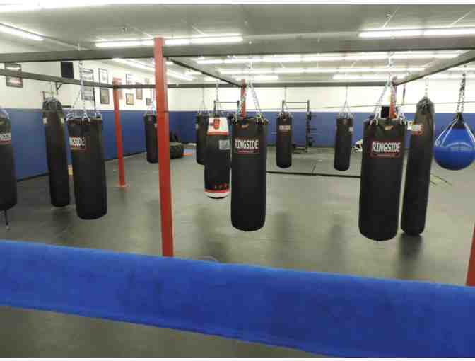Big Scary Gym: One Month Unlimited Boxing