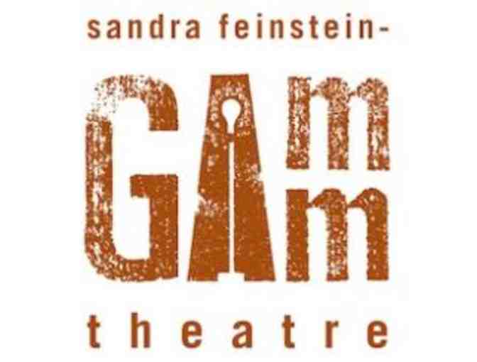 Sandra Feinstein Gamm Theatre: gift card for two tickets to any 2018-2019 show - Photo 1