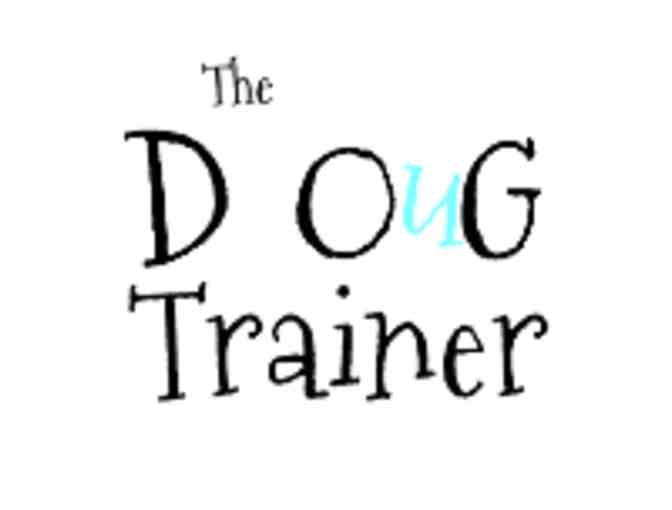 DOuGTrainer: Dog Training Plus Follow-up Review