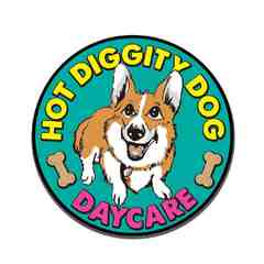 Hot Diggity Dog Daycare