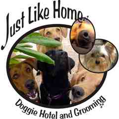 Just Like Home Doggie Hotel and Grooming