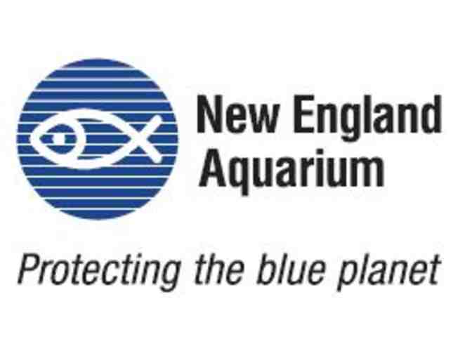 Myrtle the Turtle Meet & Feed