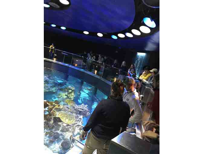 Myrtle the Turtle Meet & Feed