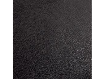 BLACK Leather Comfort Sleeper