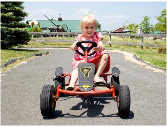 Day Pass for up to 4 People to Davis' Family Farm Adventures in Sterling, Mass.