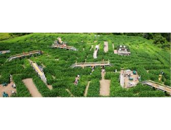 Day Pass for up to 4 People to Davis' Family Farm Adventures in Sterling, Mass.