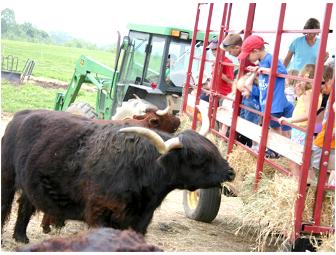 Day Pass for up to 4 People to Davis' Family Farm Adventures in Sterling, Mass.