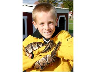 Day Pass for up to 4 People to Davis' Family Farm Adventures in Sterling, Mass.