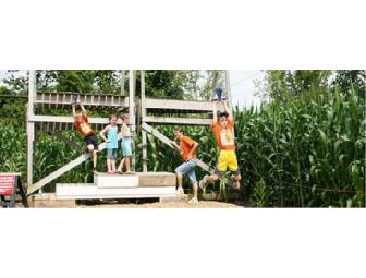 Day Pass for up to 4 People to Davis' Family Farm Adventures in Sterling, Mass.
