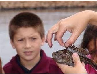 Two VIP Tickets to Project Oceanology