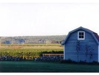 Private Tour and Tasting for 10 at Westport River Vineyard and Winery