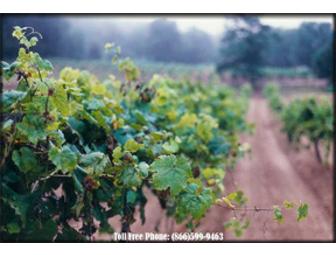 Wine Tasting for Six at McLaughlin Vineyards