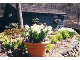 Wine Tasting for Six at McLaughlin Vineyards