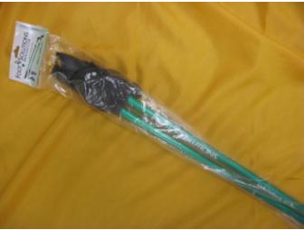 1 SET OF FOOT SOLUTIONS NORDIC WALKING POLES AND A BOOK ON BALANCING WALKING