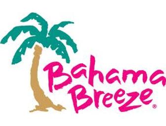 $50 Gift Card to the Olive Garden