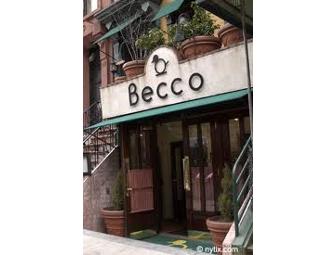 The Daily Show with Jon Stewart VIP Experience