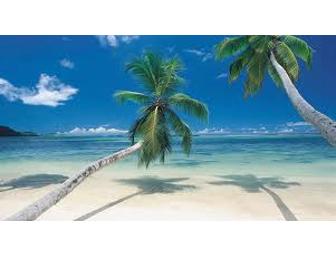 Seven Night Resort Vacation