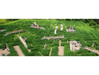 FAMILY DAY PASS FOR UP TO 4 PEOPLE TO DAVIS FARMLAND AND MEGA MAZE