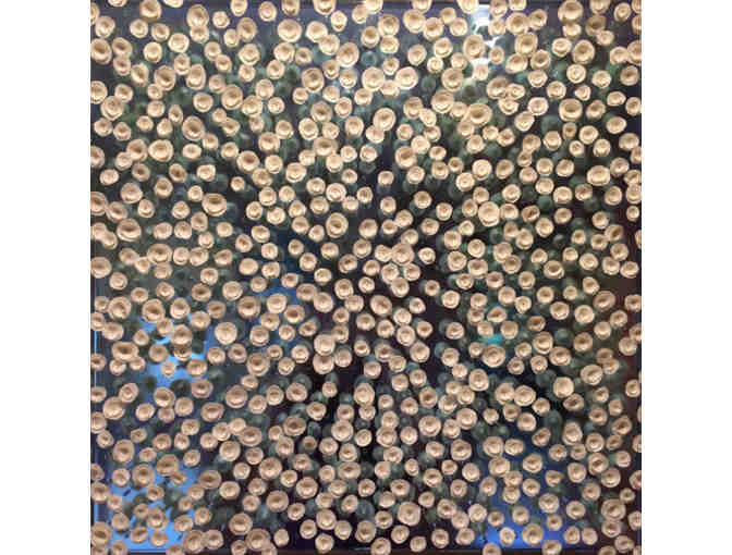 Designer Kate Brierley of ISOUDE / One-of-a-Kind Passion Fruit Dress