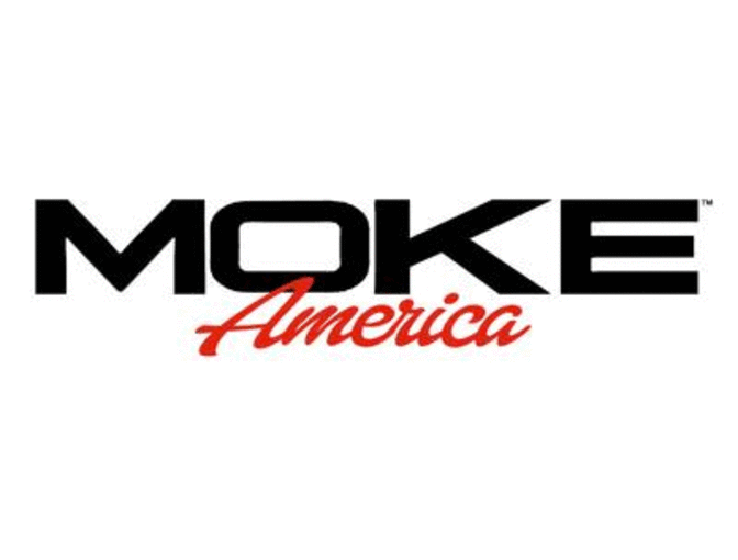 MOKE America Electric Car Painted by Artist Donald Robertson