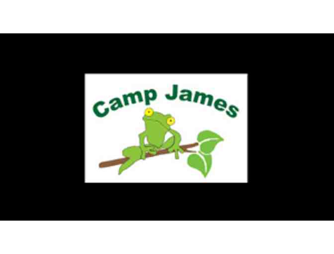 (1) One Week at Camp James - Photo 1