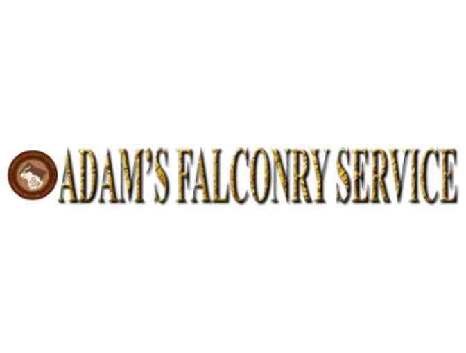 Adam's Falconry Service - Gift Certificate For A (1) Hour Falcon Experience for Two People - Photo 1