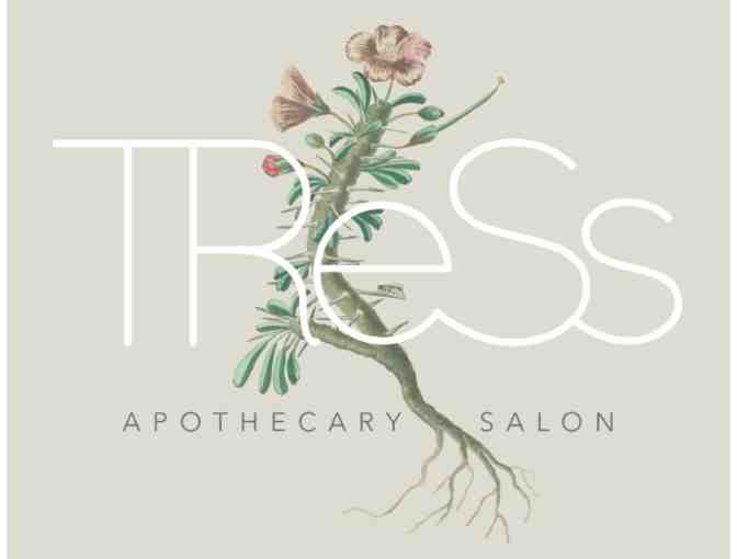 Hair Cut With Stylist Lauren Finley of TReSs Apothecary + Salon