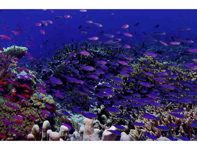 Aquarium of the Pacific - (2) Admission Passes