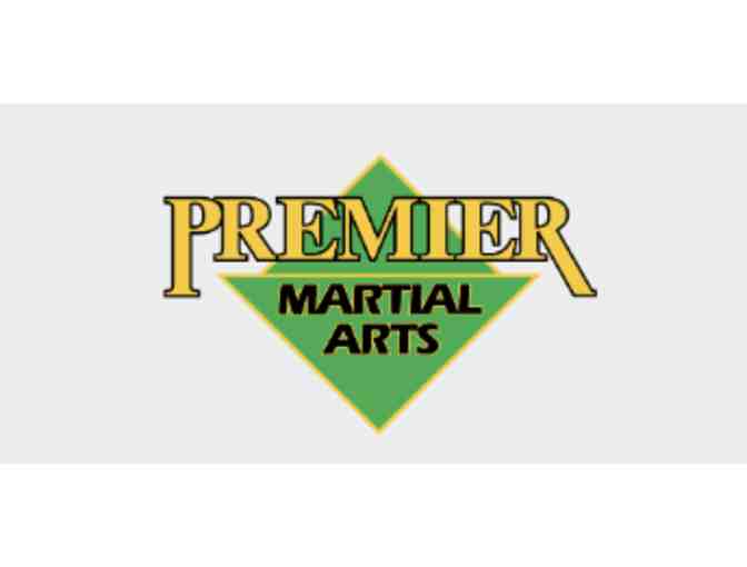 Premier Martial Arts - Kids Birthday Party + 2 Weeks of Martial Arts