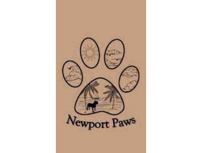Newport Paws - $60 Gift Certificate towards grooming