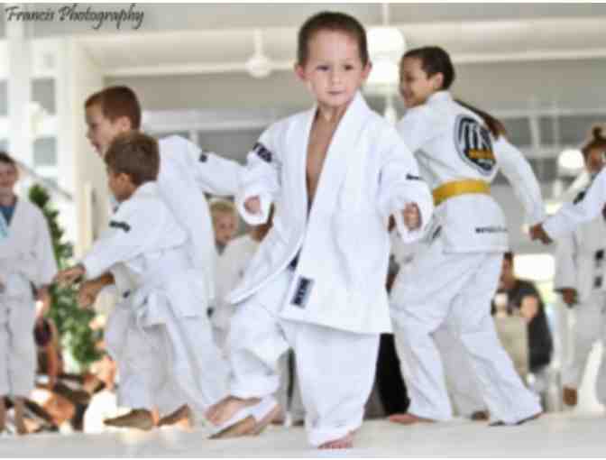 Art of Jiu Jitsu - One Month Unlimited Kids Or Adult Membership